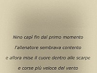Testo finale