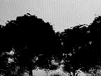 Immagine00002