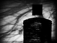 Immagine00005