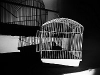 Immagine00007