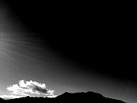 Immagine00010