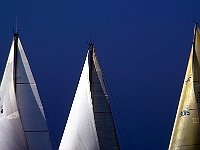 regata-1