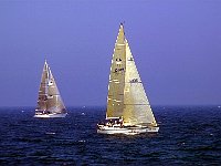 regata-4