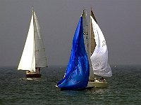 regata-5