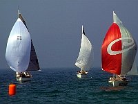 Regata
